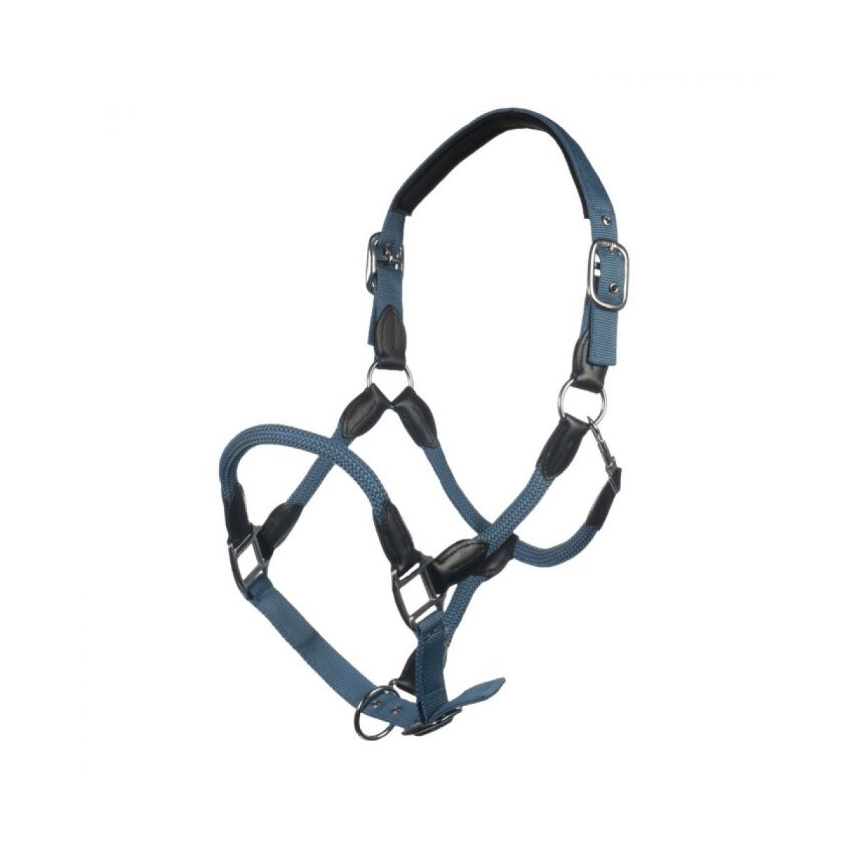 Licol carlotta Smokey blue