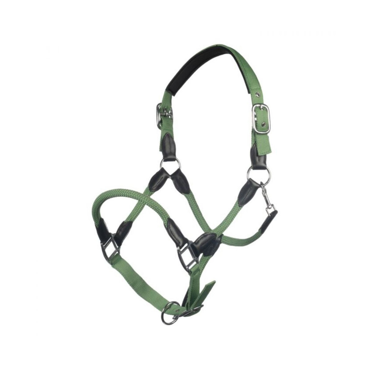 Licol carlotta JADE GREEN