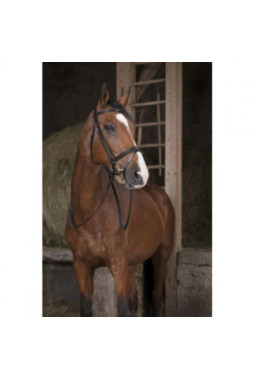 Rênes caoutchouc NORTON PRO 13mm Marron