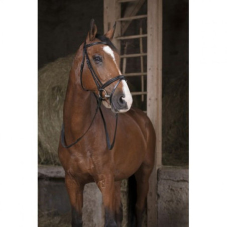 Rênes caoutchouc NORTON PRO 13mm Noir