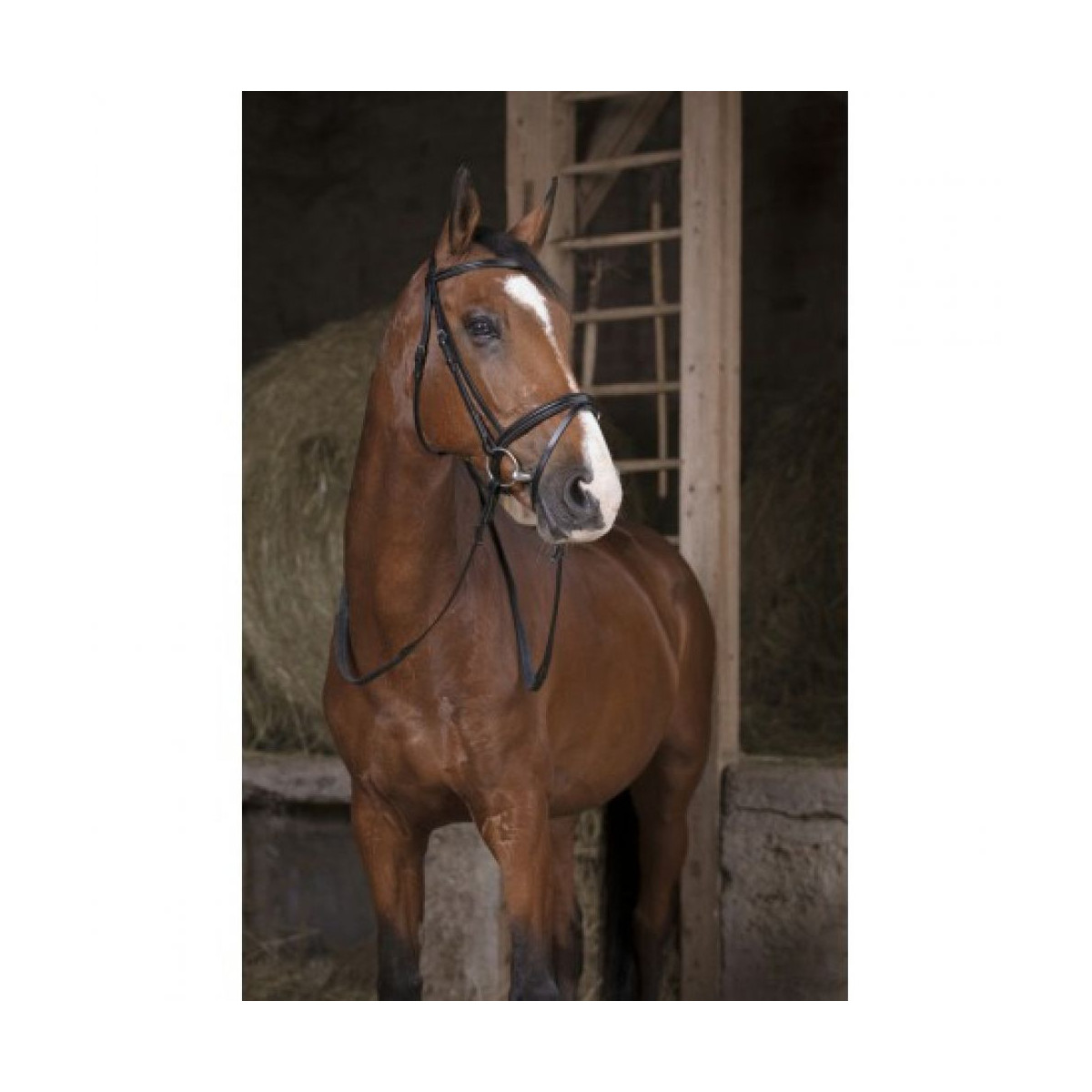 Rênes caoutchouc NORTON PRO 13mm Noir