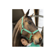 Hansy Licol et Longe Emerald Green