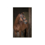 Bride NORTON PRO Noir