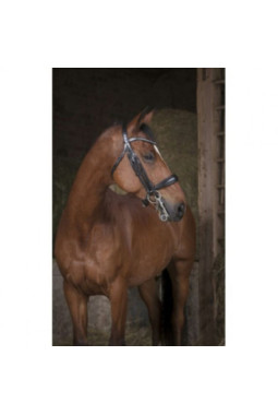 Bride NORTON PRO Noir