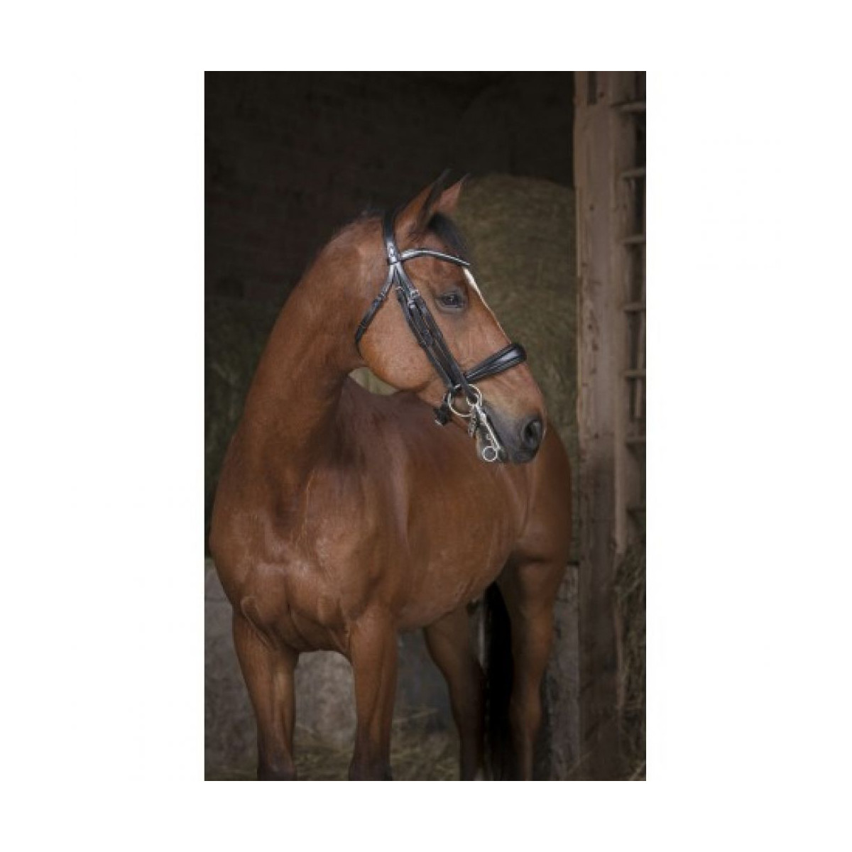 Bride NORTON PRO Noir