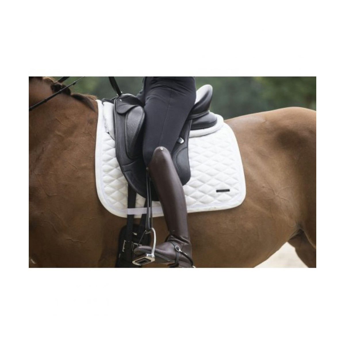 Tapis de dressage LAMI-CELL - Midnight blanc Full