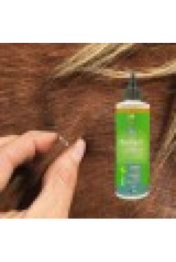 Lotion ANIMADERM - DERFEN™ Original