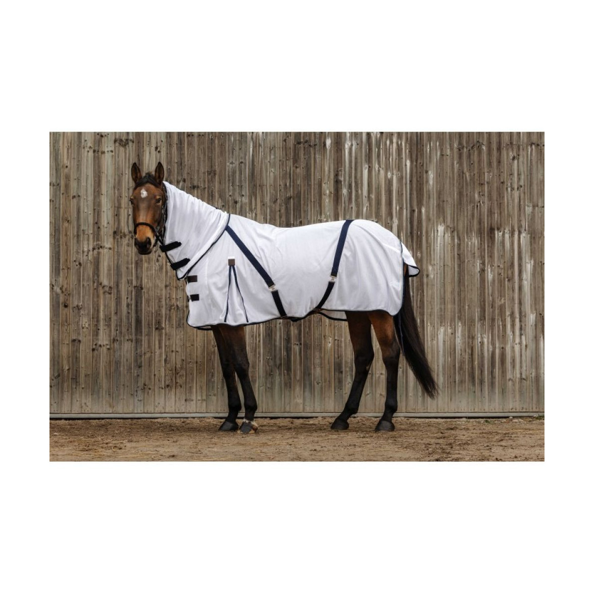 Chemise anti-insectes EQUITHÈME - Mesh combo