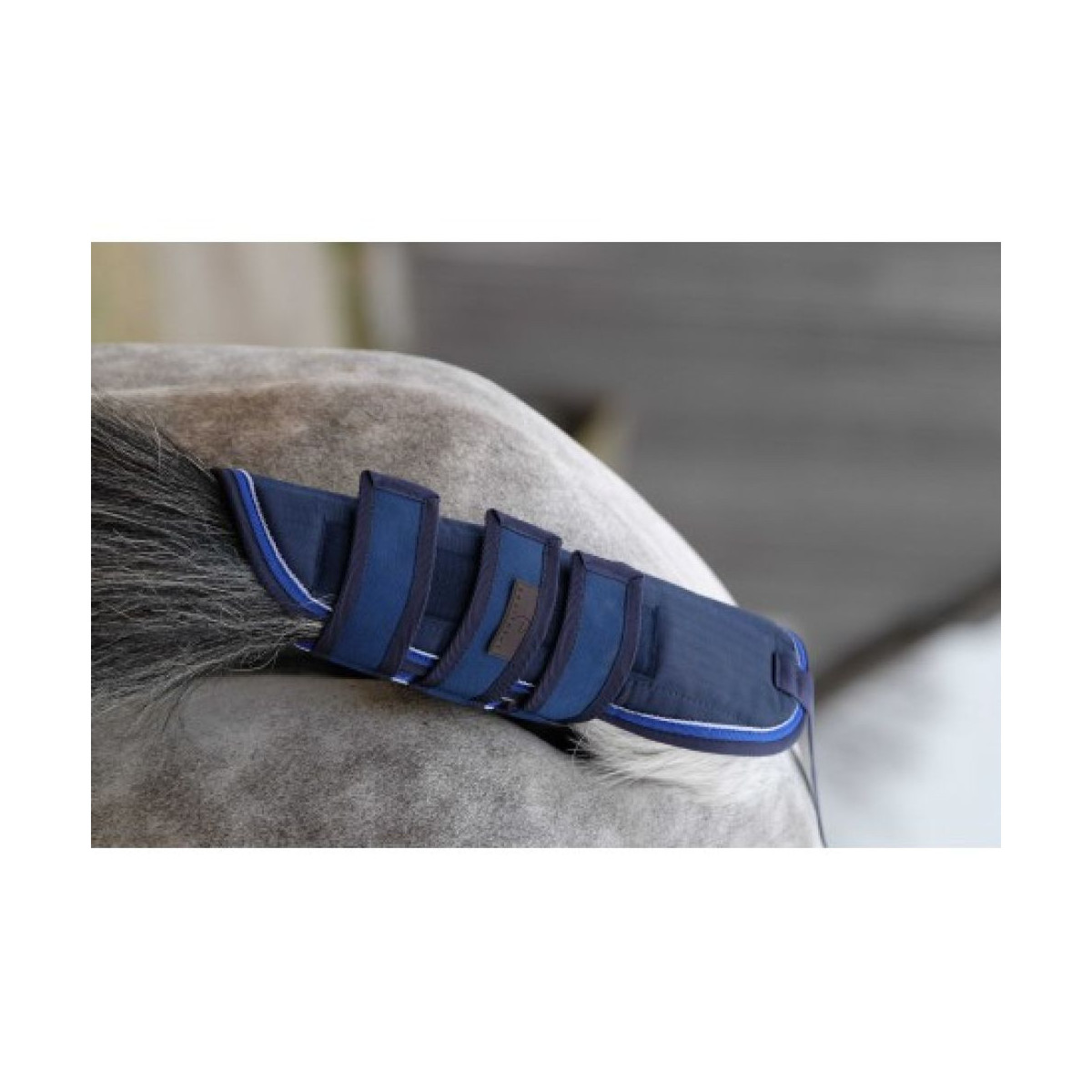 Protège-queue EQUITHÈME - Classic 1200D