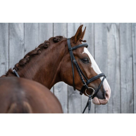 Bridon -Jana- Marron