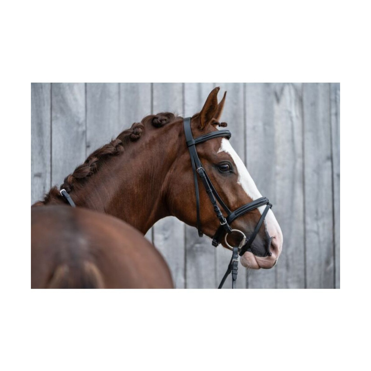 Bridon -Jana- Marron