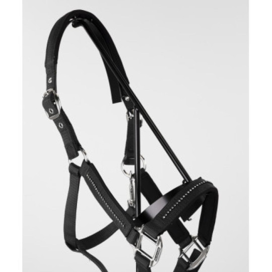 Licol et Longe AMOUR Noir