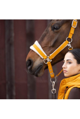 Licol -Arezzo- Moutarde