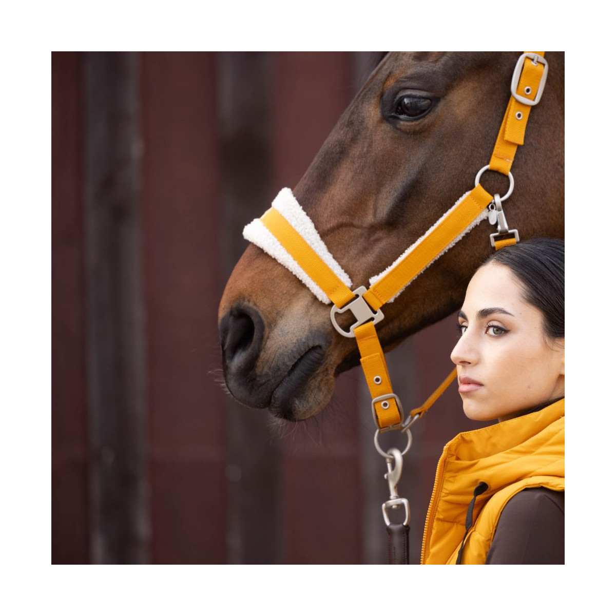 Licol -Arezzo- Moutarde