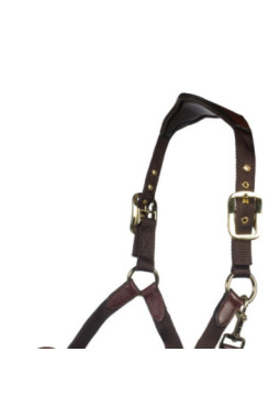 Licol Luna cuir et nylon Marron