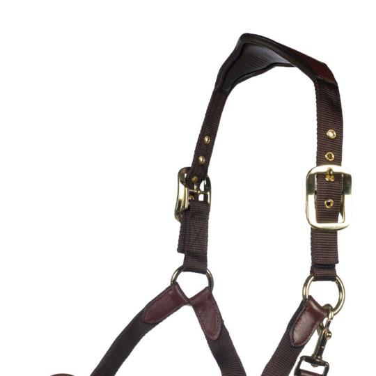 Licol Luna cuir et nylon Marron