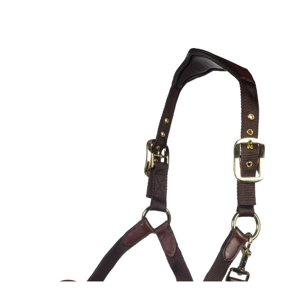 Licol Luna cuir et nylon Marron