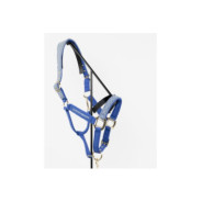 Maximin Licol et longe Versailles