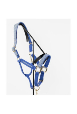 Maximin Licol et longe Versailles