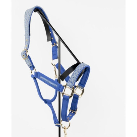 Maximin Licol et longe Versailles