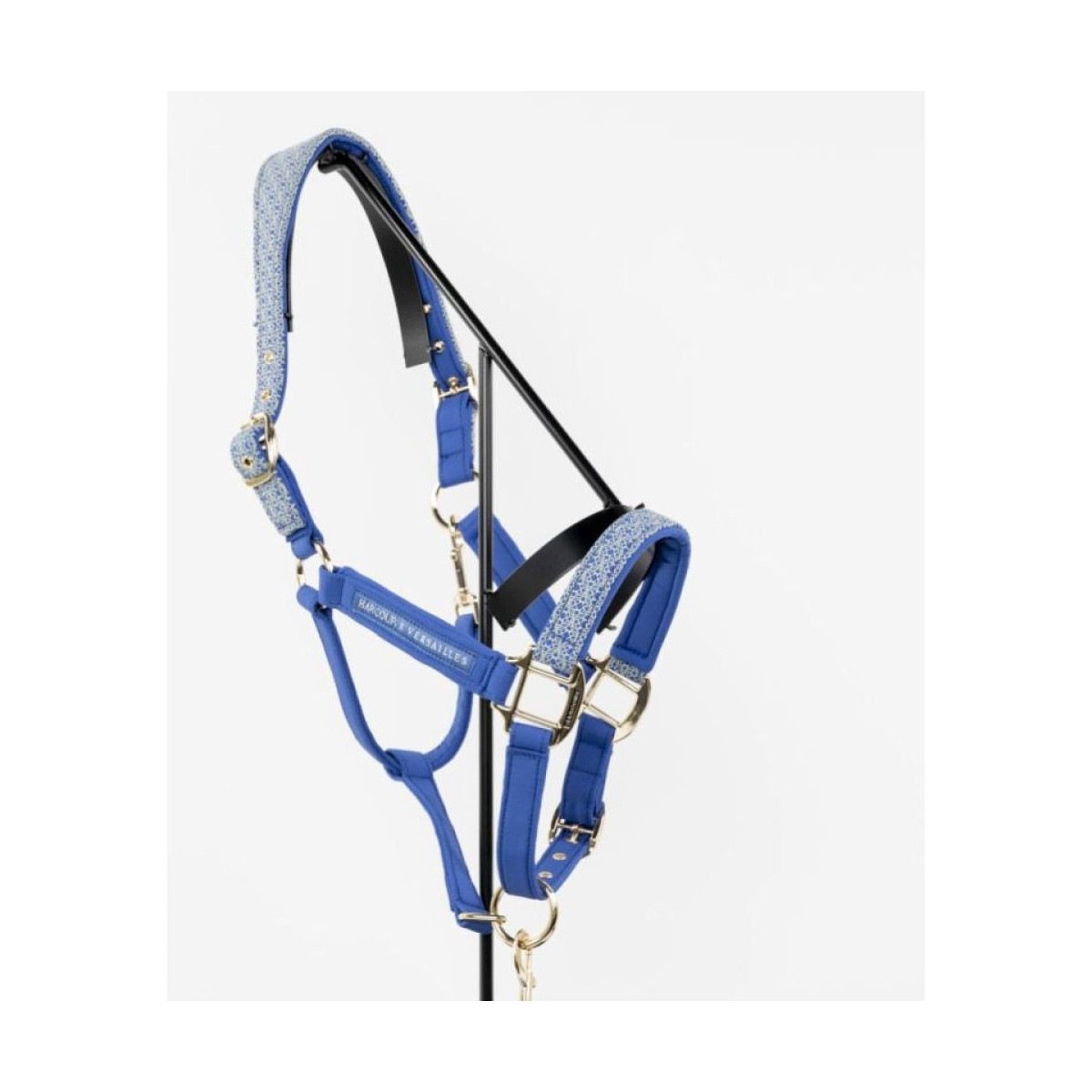 Maximin Licol et longe Versailles