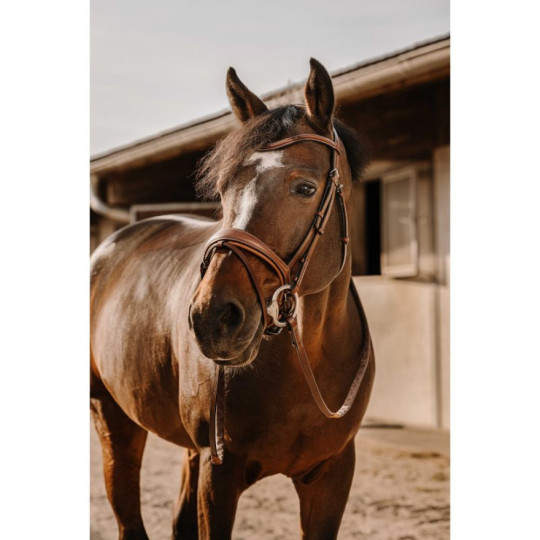 Bridon ERIC THOMAS - Visby Havane