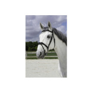 Bridon NORTON PRO Vague NOIR