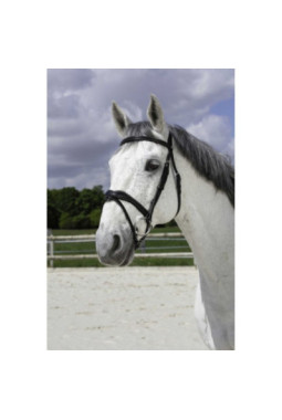 Bridon NORTON PRO Vague NOIR