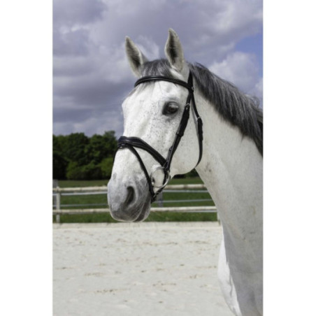 Bridon NORTON PRO Vague NOIR