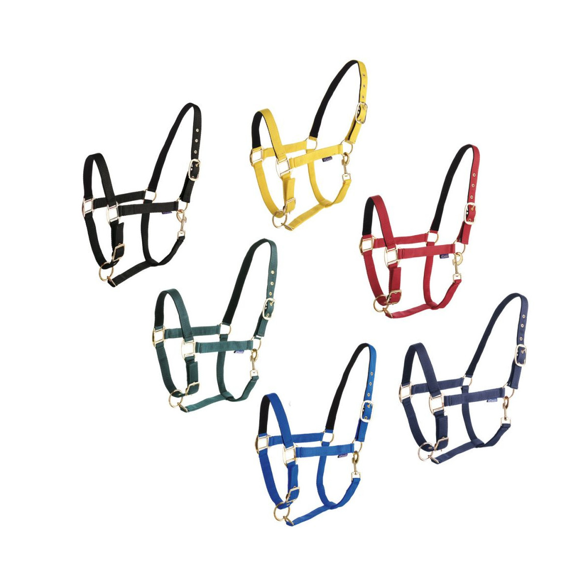 Licol Daslö Vert Sapin