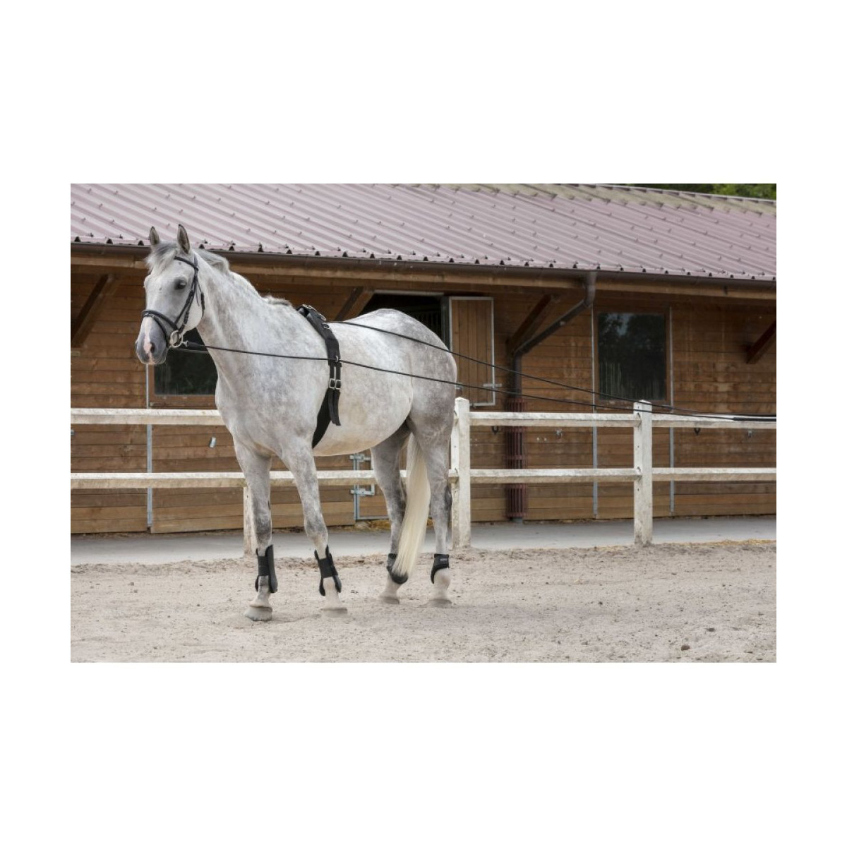 Longues rênes RIDING WORLD cuir/corde 10M