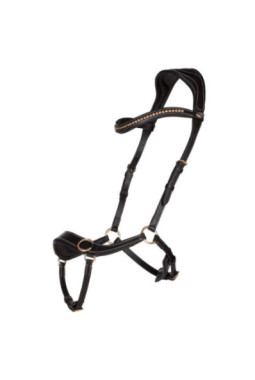 Bridon sans mors Anatomical Noir