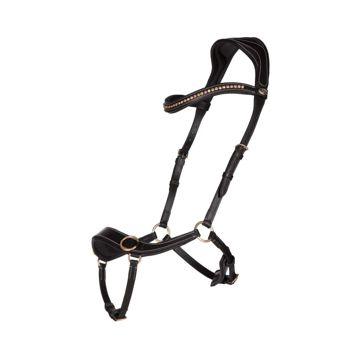 Bridon sans mors Anatomical Noir