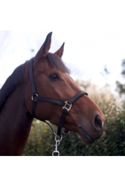 Set de licol et longe ATAMIK Rouge Salsa