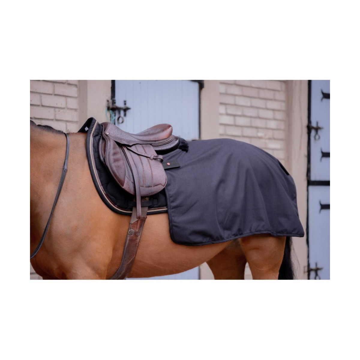 Couvre-reins Quarter Classic Rain  PADDOCK