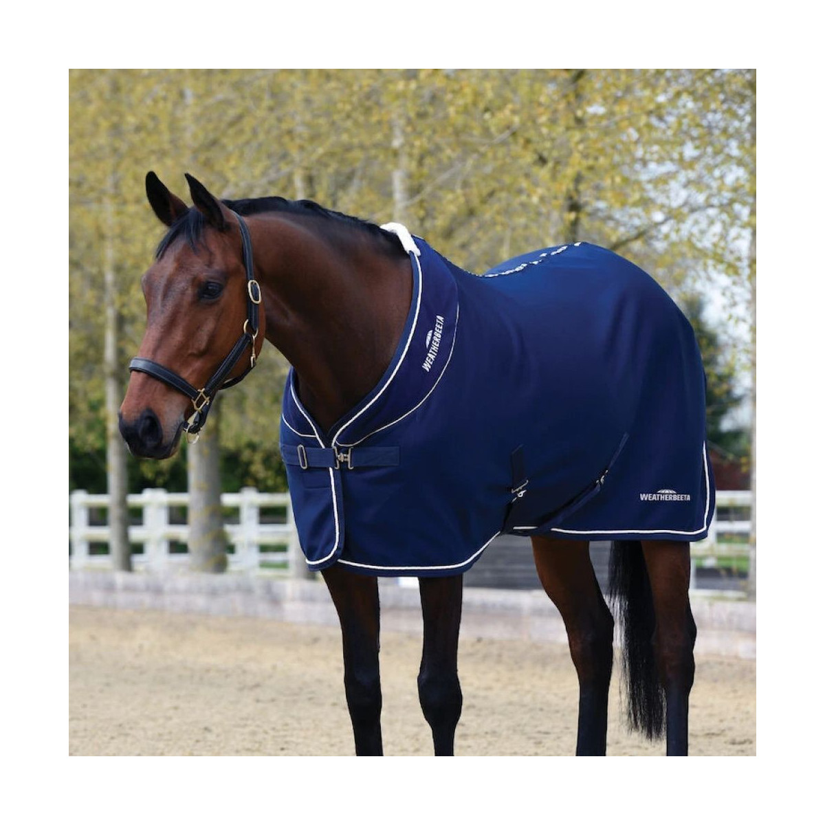 Chemise Opulence Show Sheet Col Standard