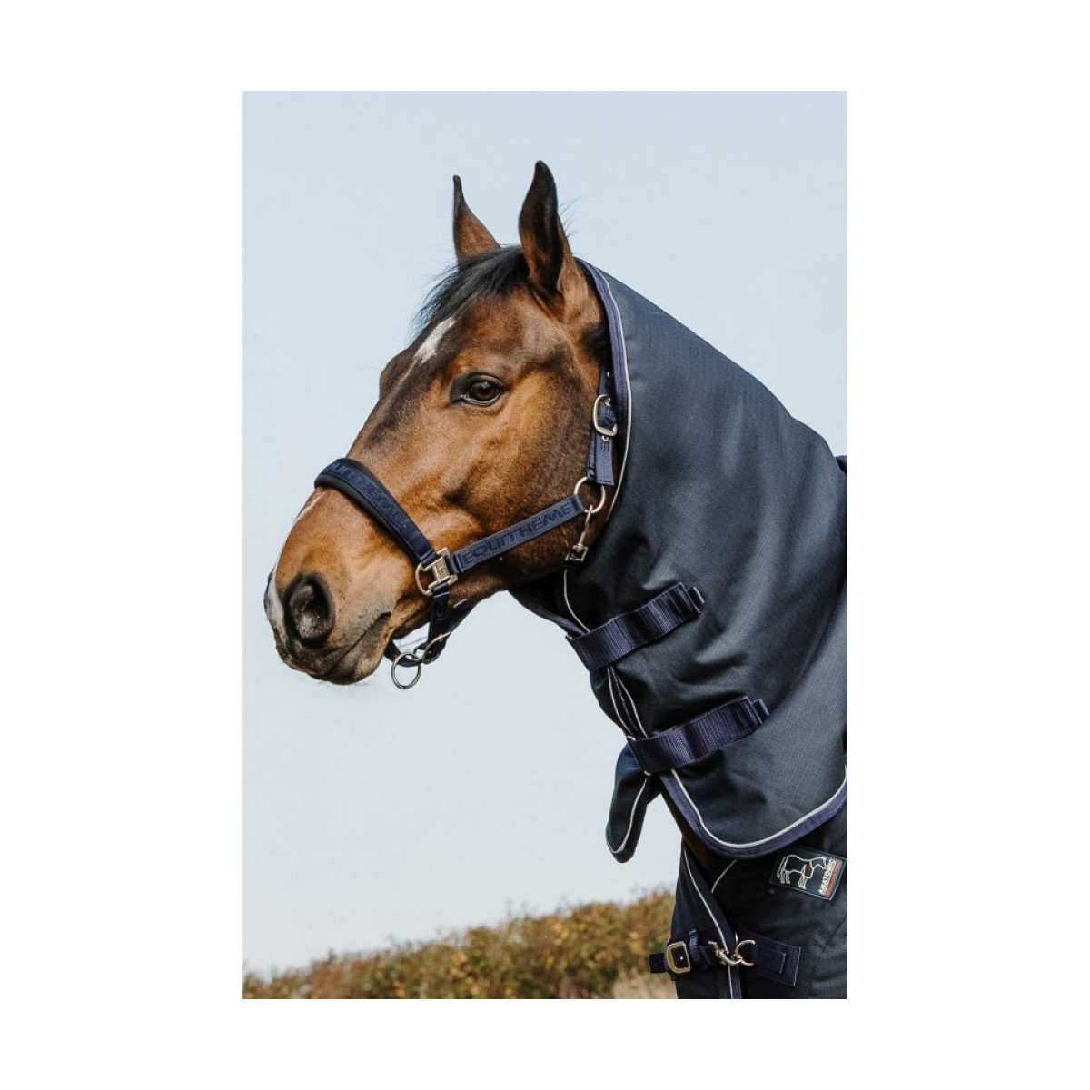 Couvre-cou EQUITHÈME Anatomic 1200D 200G