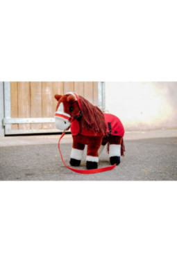 Mini-licol+longe PONY ACADEMY