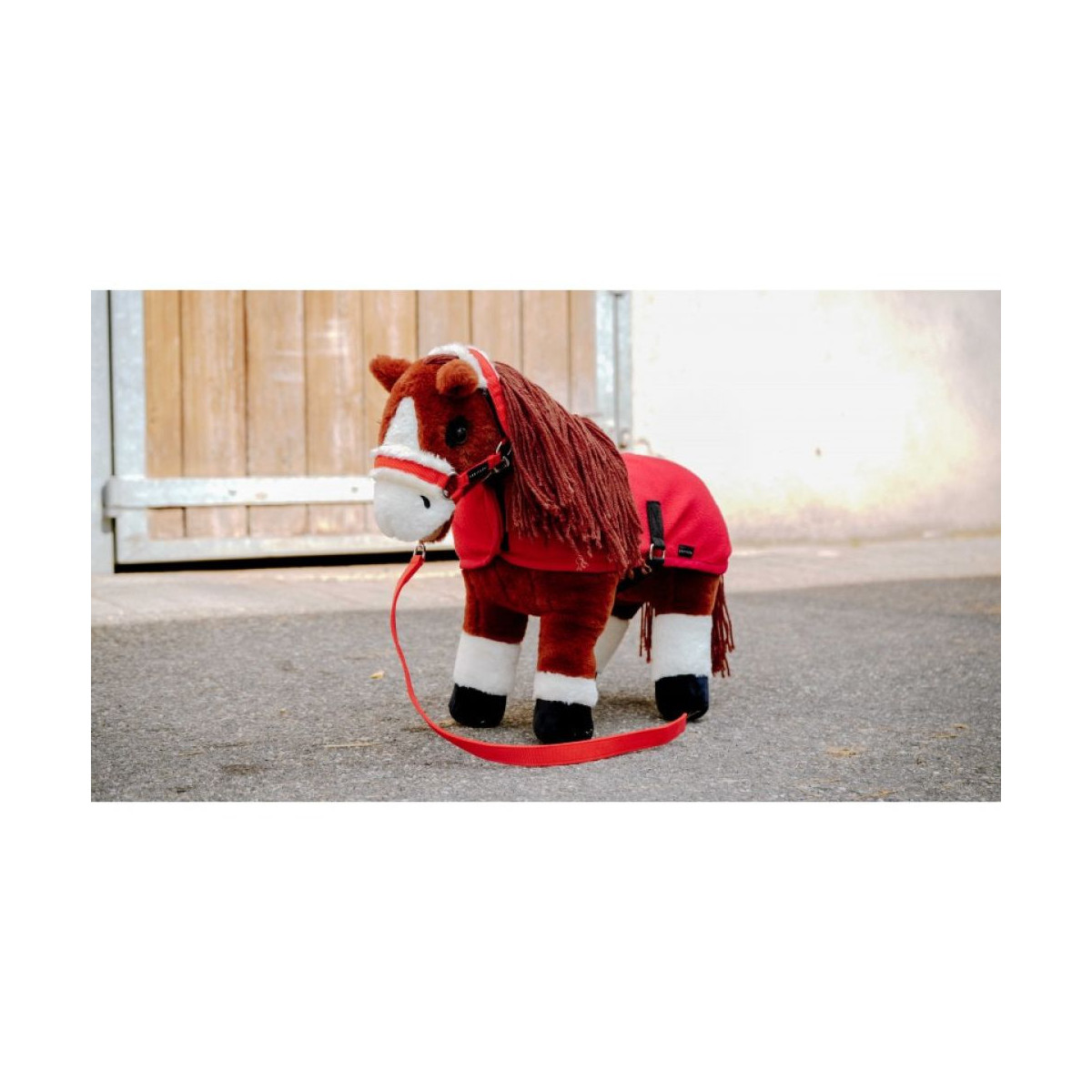 Mini-licol+longe PONY ACADEMY