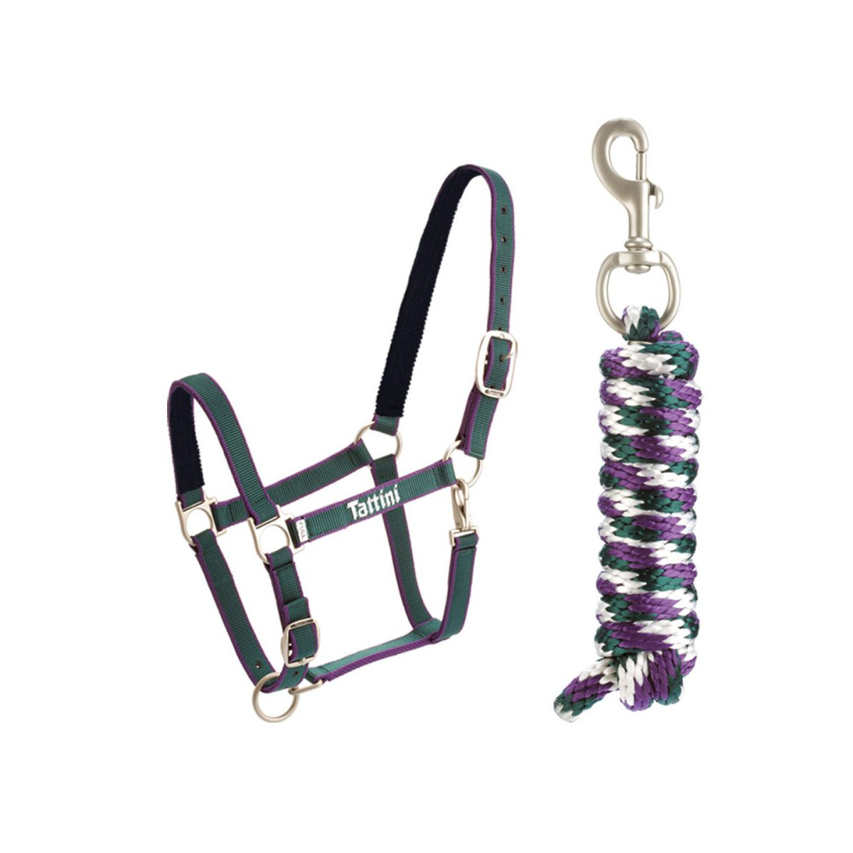 Licol CAPEZZA TATT CON IMBOTTITURA COB