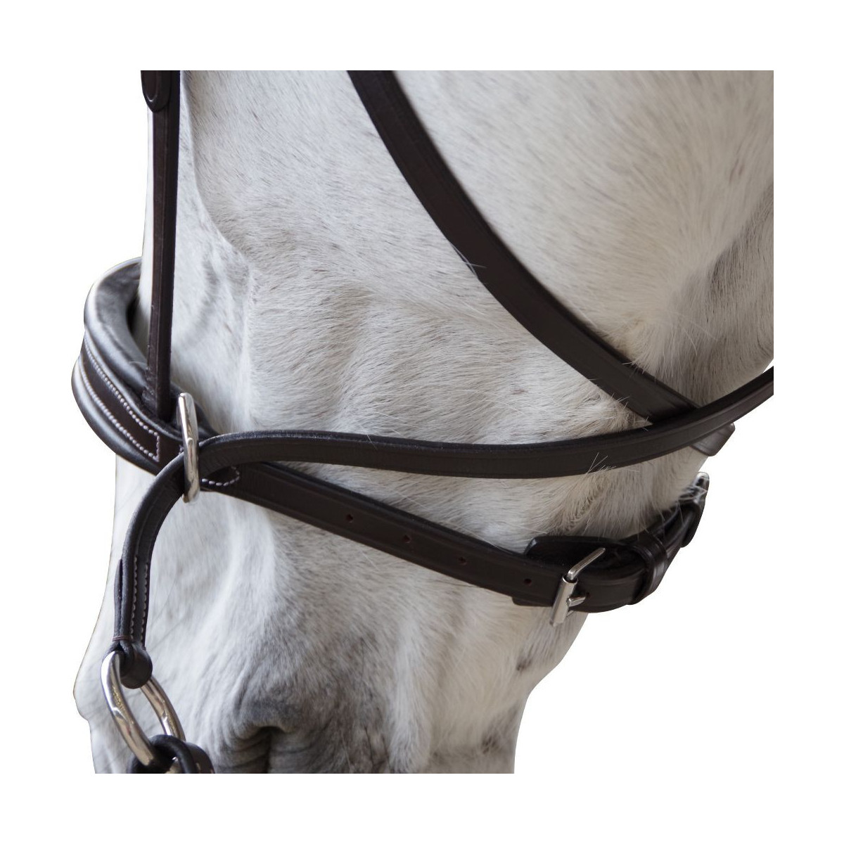 Bridon CANTER bitless Evolution Marron