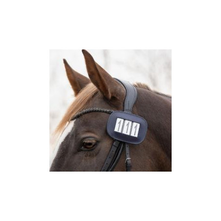 Porte numéro Modeste square