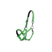 Licol poulain Millie