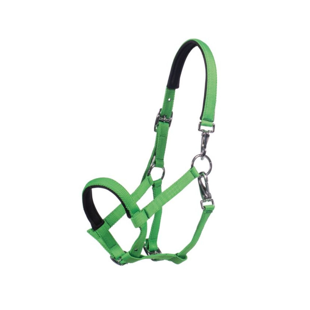 Licol poulain Millie