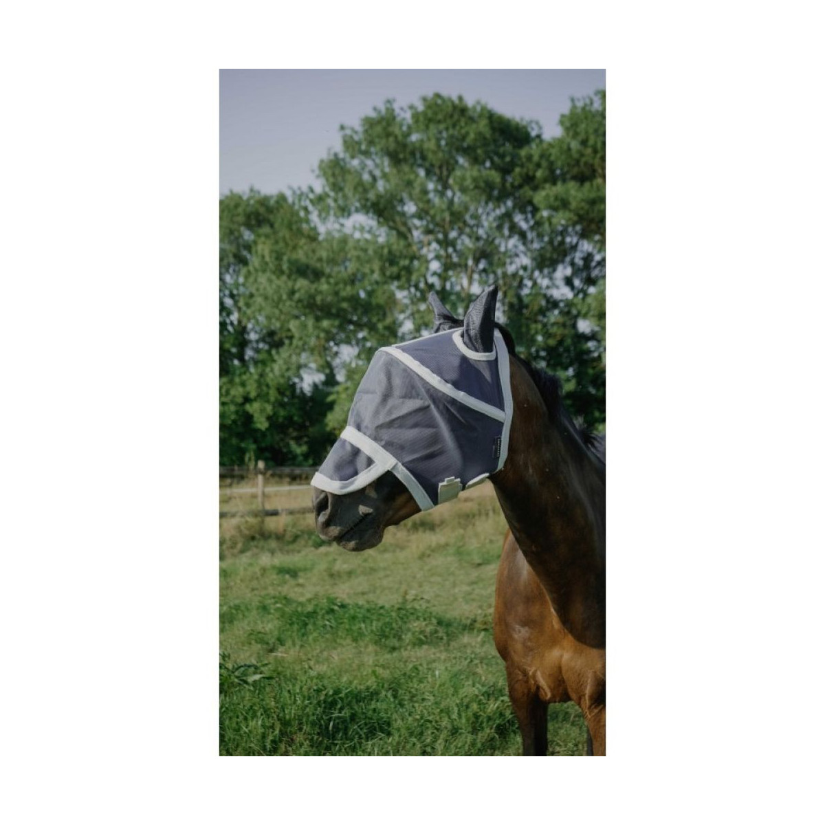 Masque anti-mouches anti-UV EQUITHÈME - Cerceau