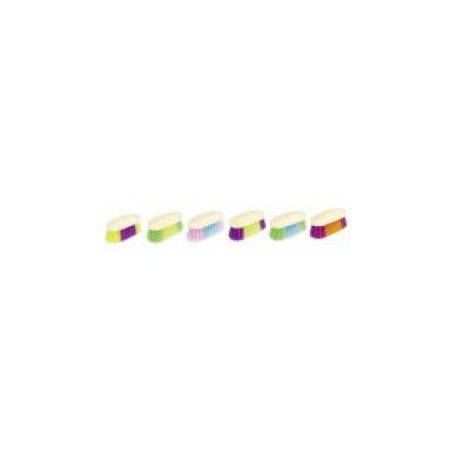 Brosse dure petit 15*6