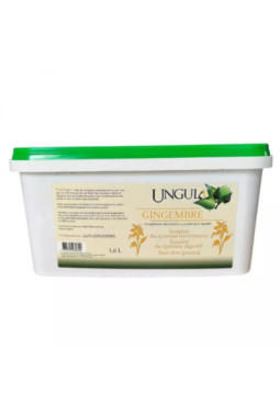 Gingembre ungula