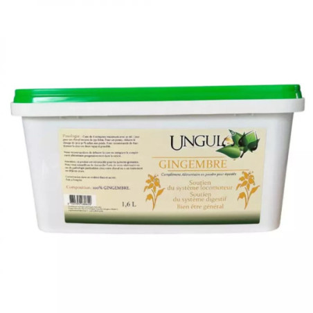 Gingembre ungula