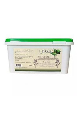 Ail semoule