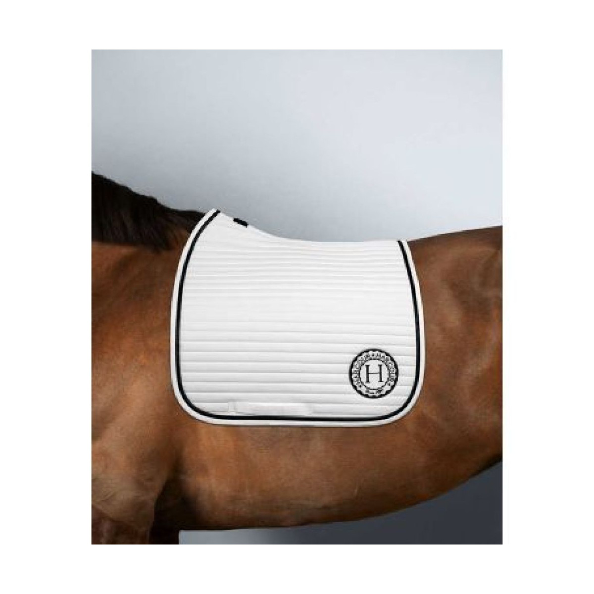 Tapis Karembar DRESSAGE blc